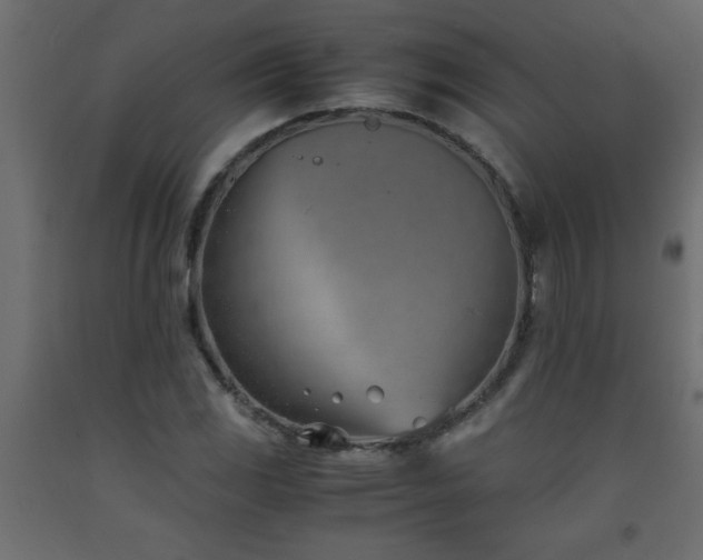 X0000093571117200710151122