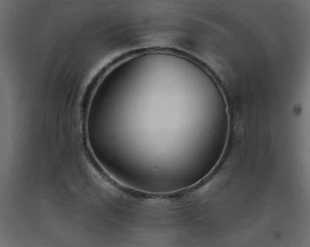 X0000093571118200710151122