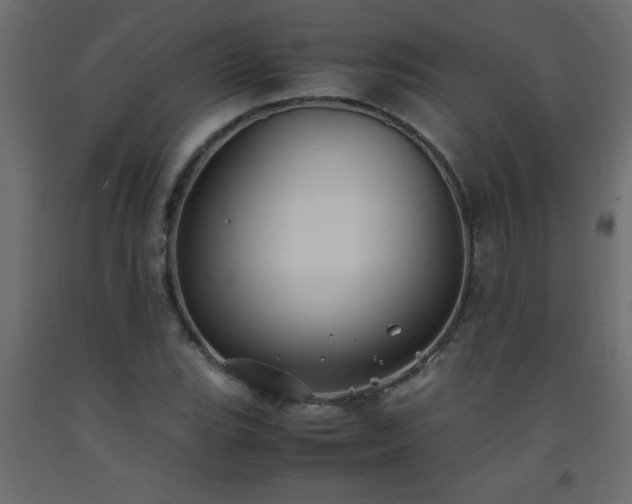 X0000093571119200710151122