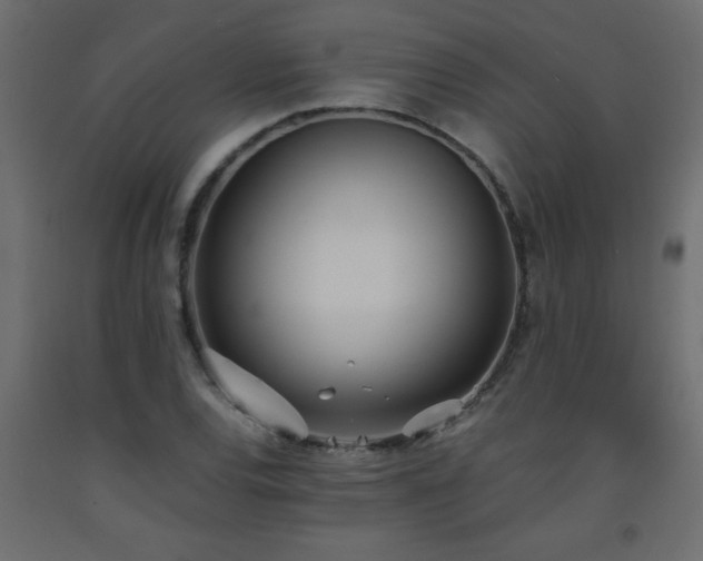 X0000093571120200710151122