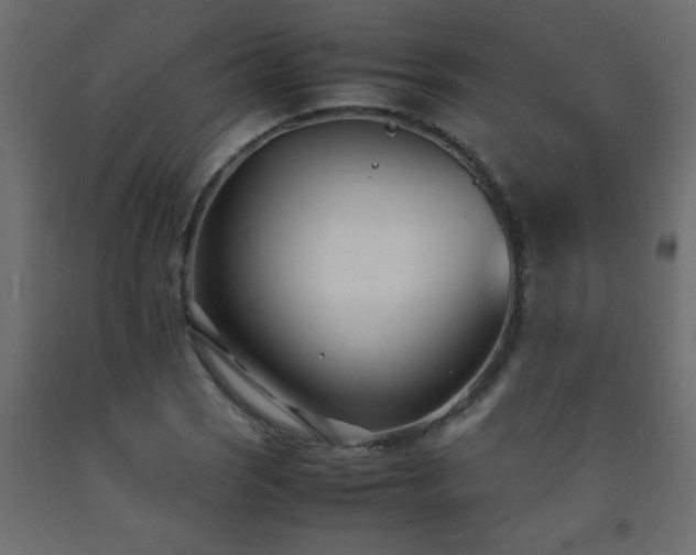 X0000093571121200710151122