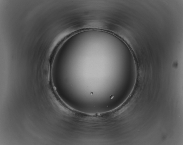 X0000093571123200710151122