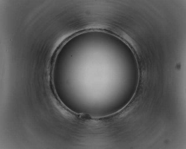 X0000093571124200710151122