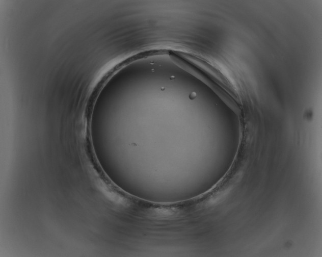 X0000093571125200710151122