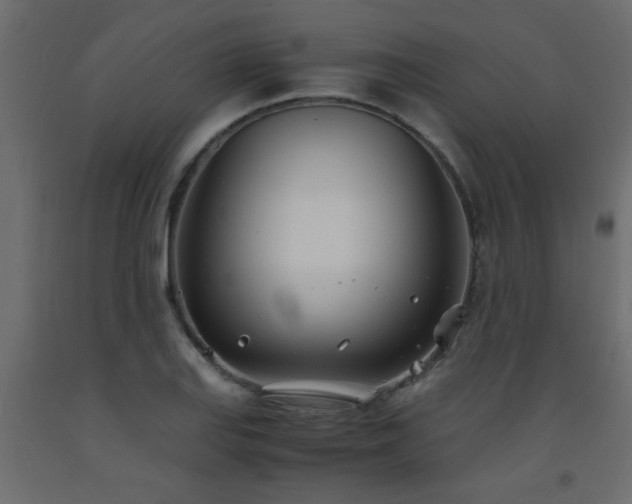 X0000093571127200710151122