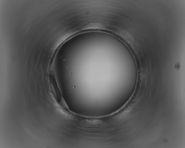 X0000093571129200710151122