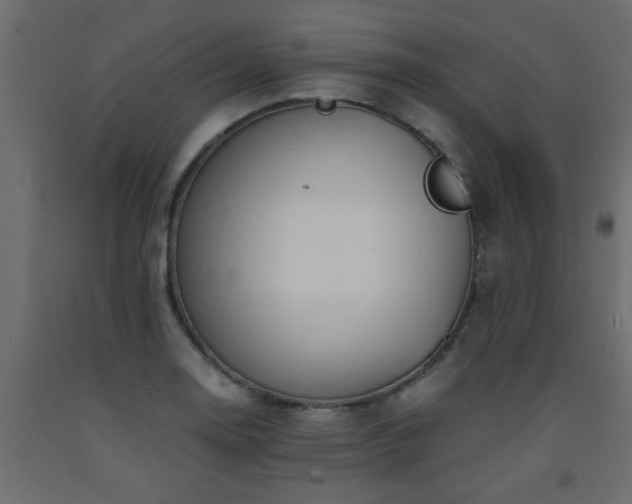 X0000093571130200710151122