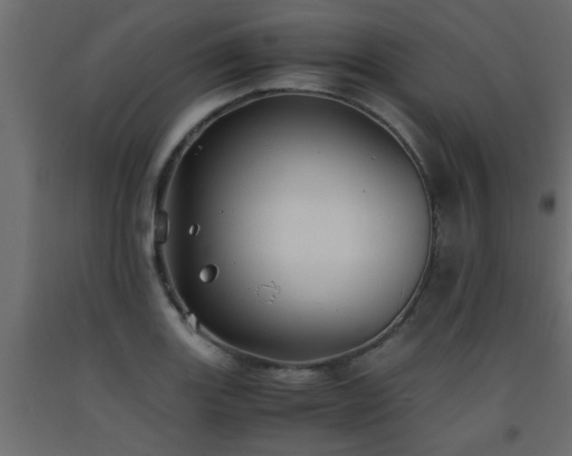 X0000093571131200710151122