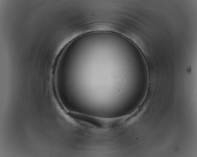 X0000093571134200710151122