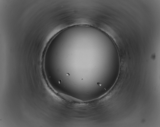 X0000093571135200710151122