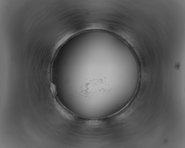 X0000093571137200710151122