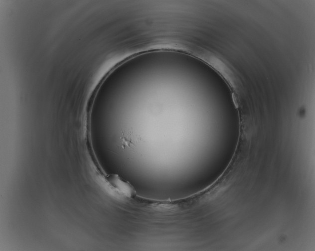 X0000093571140200710151122