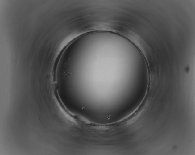 X0000093571141200710151122