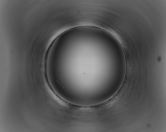 X0000093571142200710151122