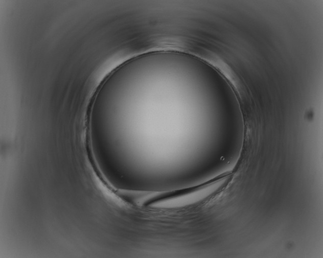 X0000093571143200710151122