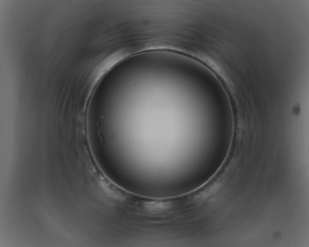 X0000093571145200710151122