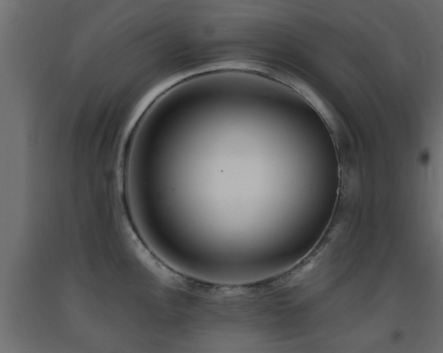 X0000093571148200710151122