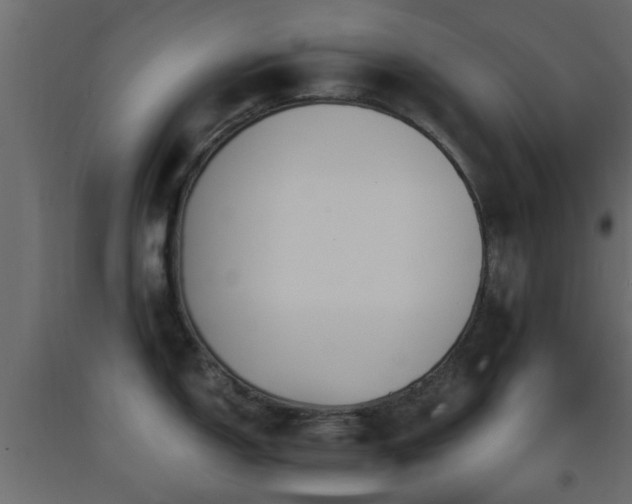 X0000093571150200710151122