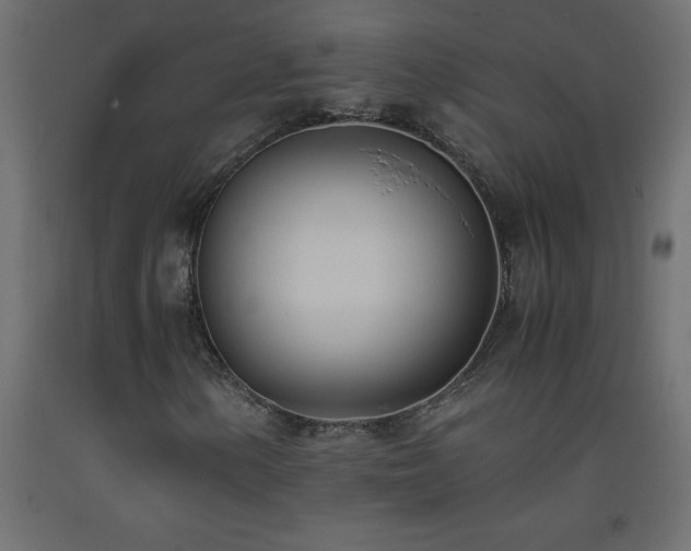 X0000093571154200710151122