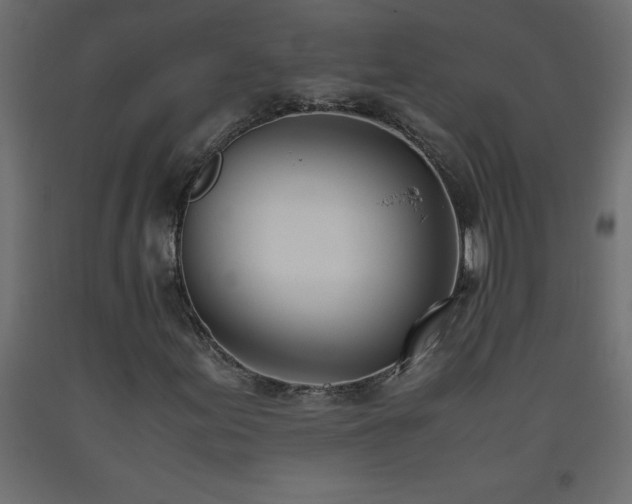 X0000093571155200710151121