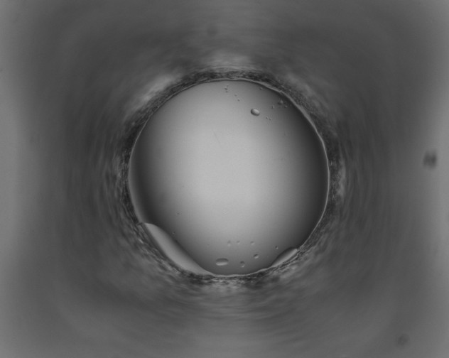 X0000093571157200710151121