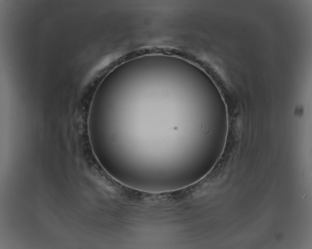 X0000093571159200710151121