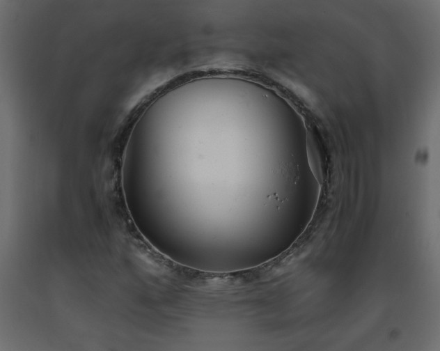 X0000093571160200710151121