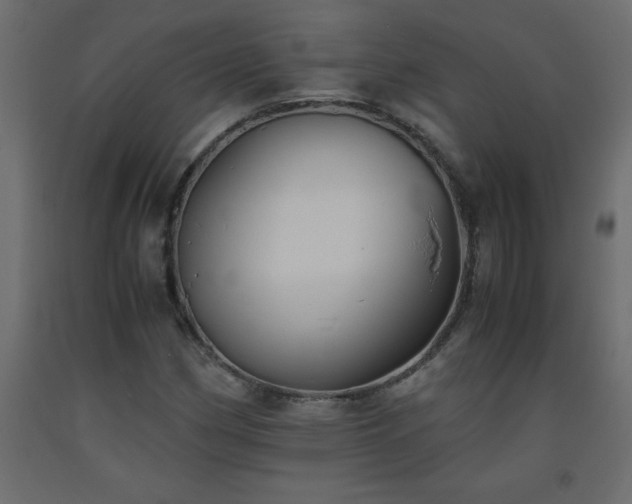 X0000093571162200710151121