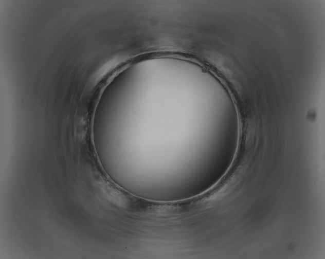 X0000093571163200710151121
