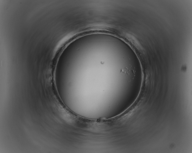 X0000093571164200710151121