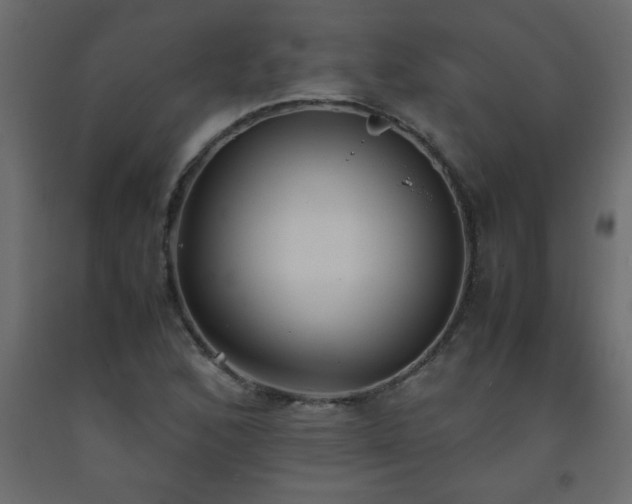 X0000093571168200710151121