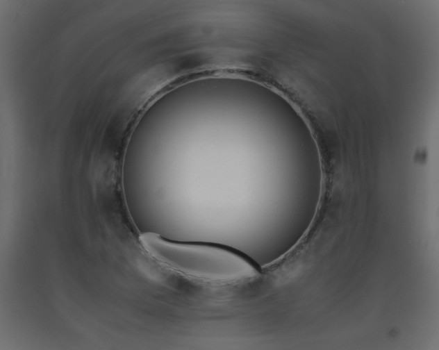 X0000093571169200710151121