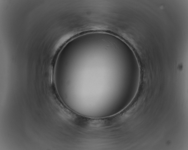 X0000093571171200710151121