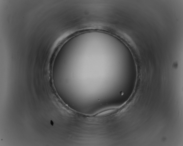 X0000093571172200710151121