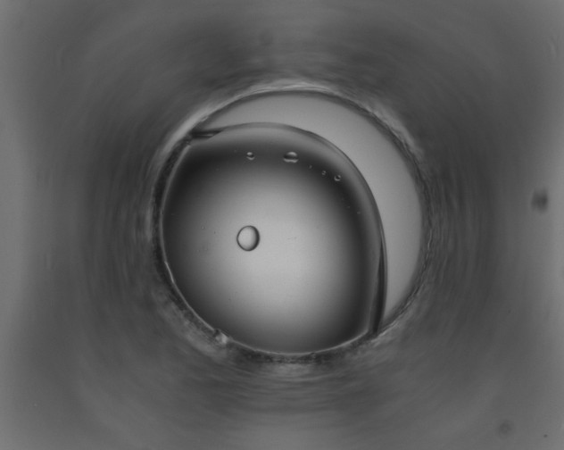 X0000093571173200710151121