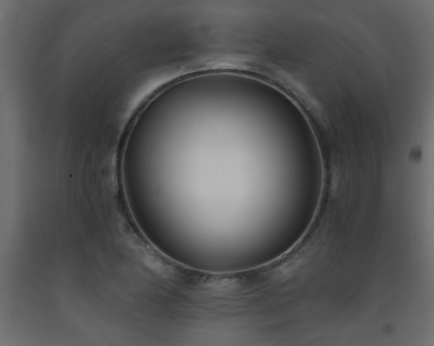 X0000093571174200710151121