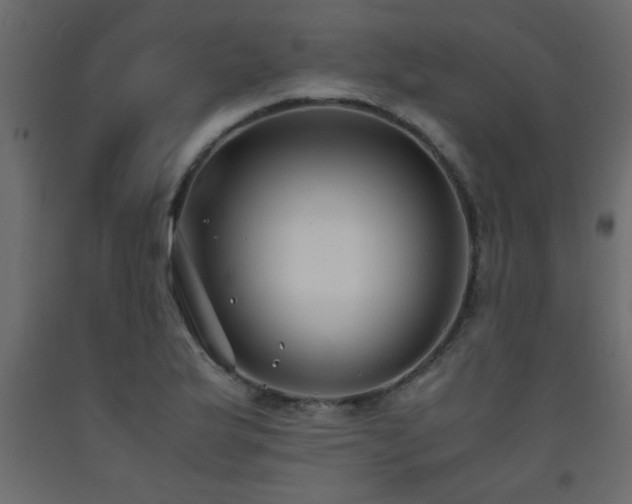 X0000093571175200710151121
