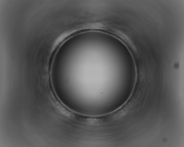 X0000093571176200710151121