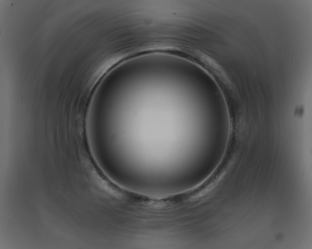 X0000093571177200710151121