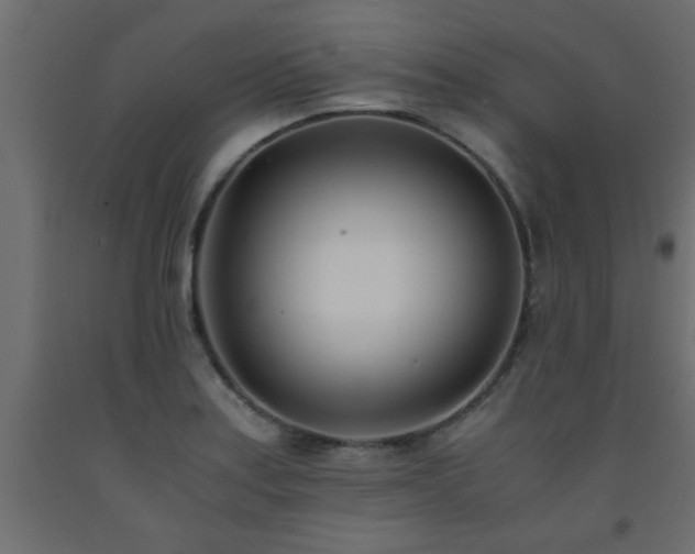 X0000093571179200710151121
