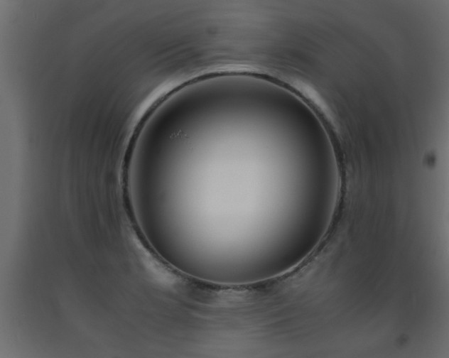X0000093571181200710151121