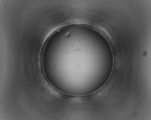 X0000093571182200710151121
