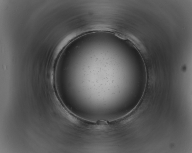 X0000093571188200710151121