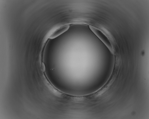 X0000093571196200710151121
