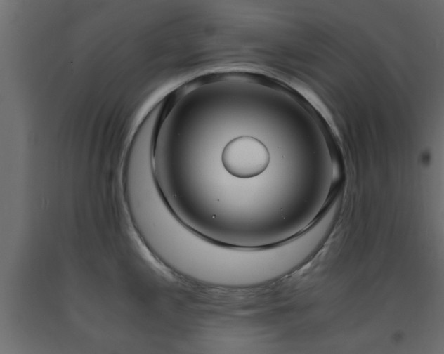 X0000093571197200710151121