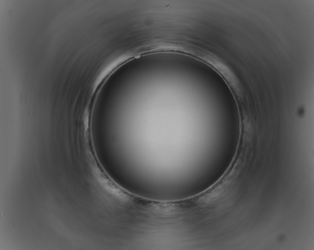 X0000093571198200710151121