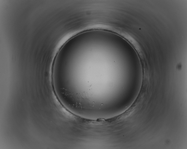 X0000093571199200710151121