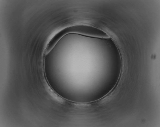 X0000093571200200710151121