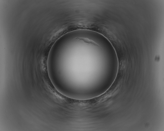 X0000093571202200710151120