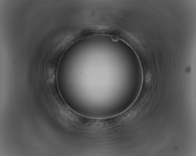 X0000093571204200710151120